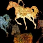 MINKY - HORSES black