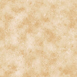 RAPTURE (Two Colors)