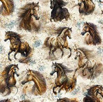 STALLION SONG - HORSE ALLOVER