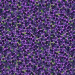 Minis - (Two Colors)