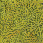 Marigold (Two Colors)