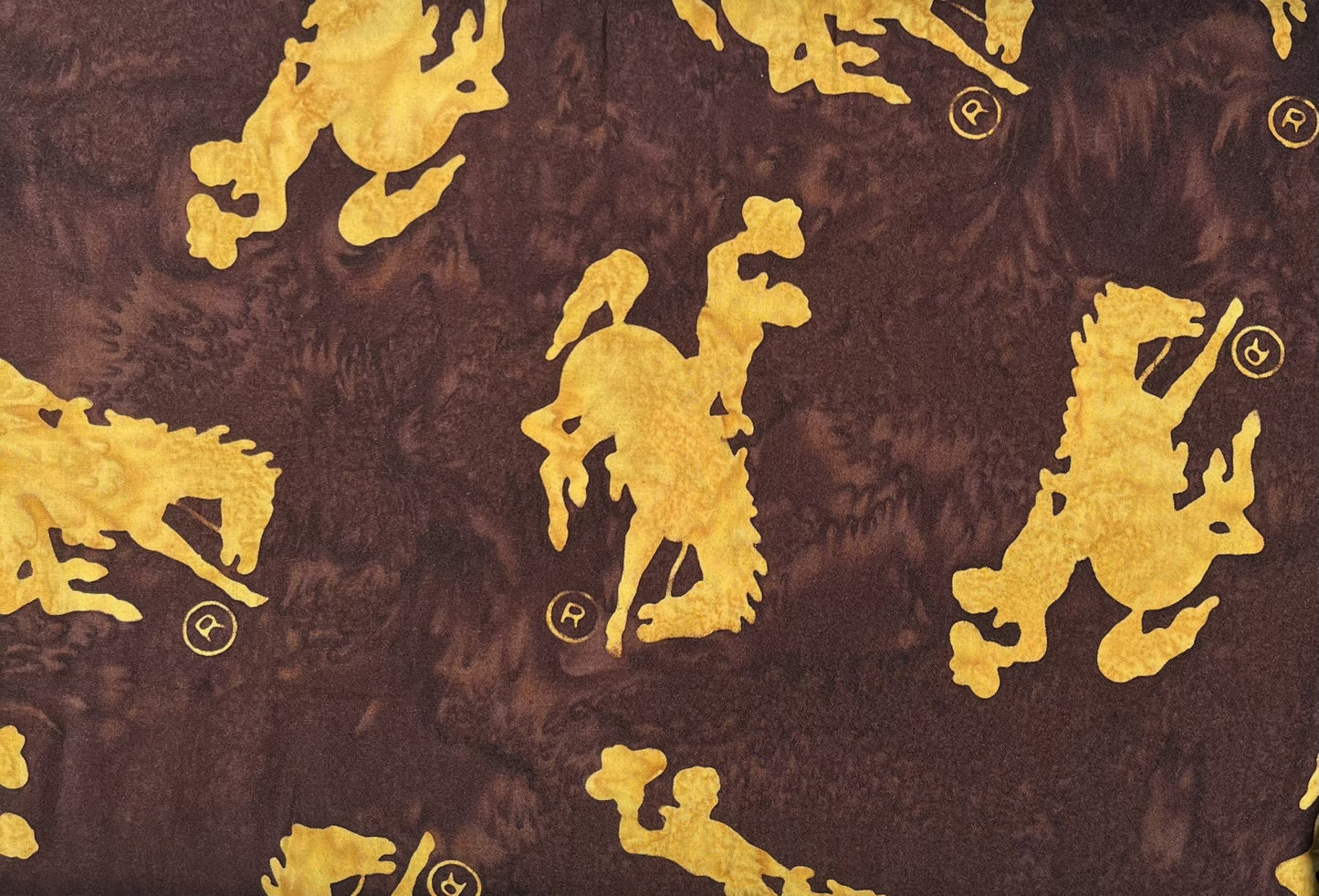 Bucking Horse (Cappuccino)