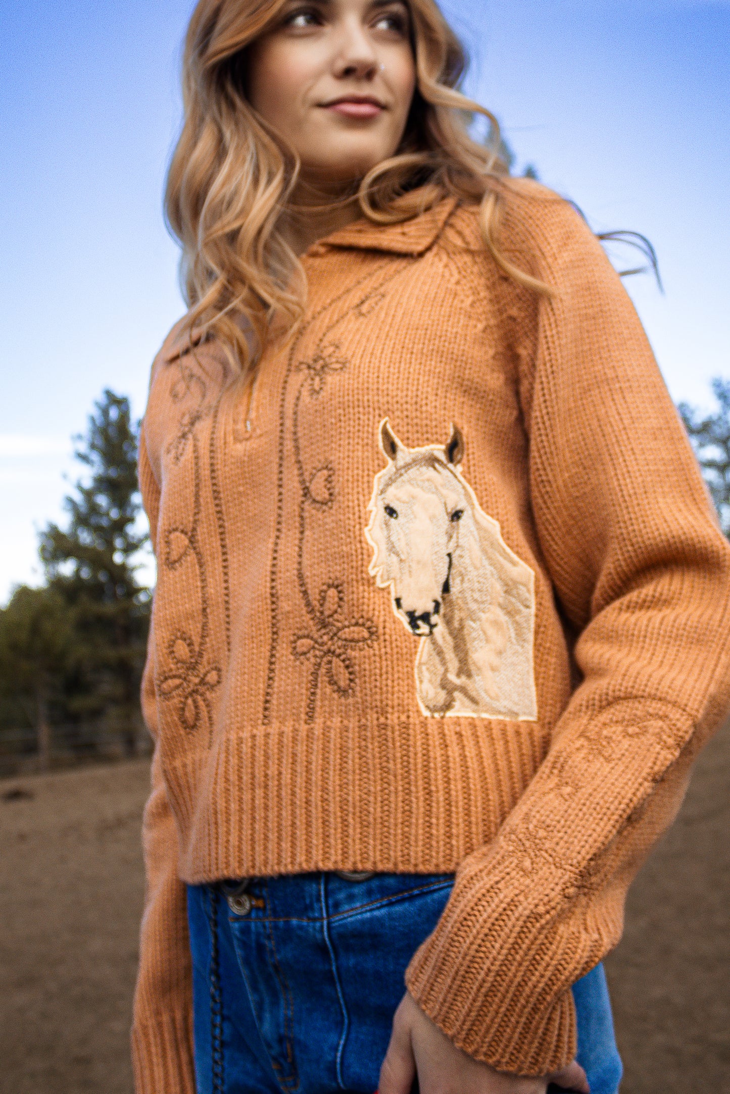 High Desert Horse Embroidered Zip Sweater