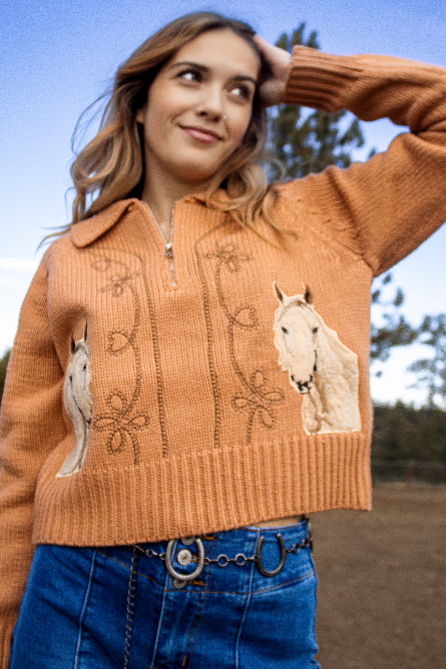 High Desert Horse Embroidered Zip Sweater