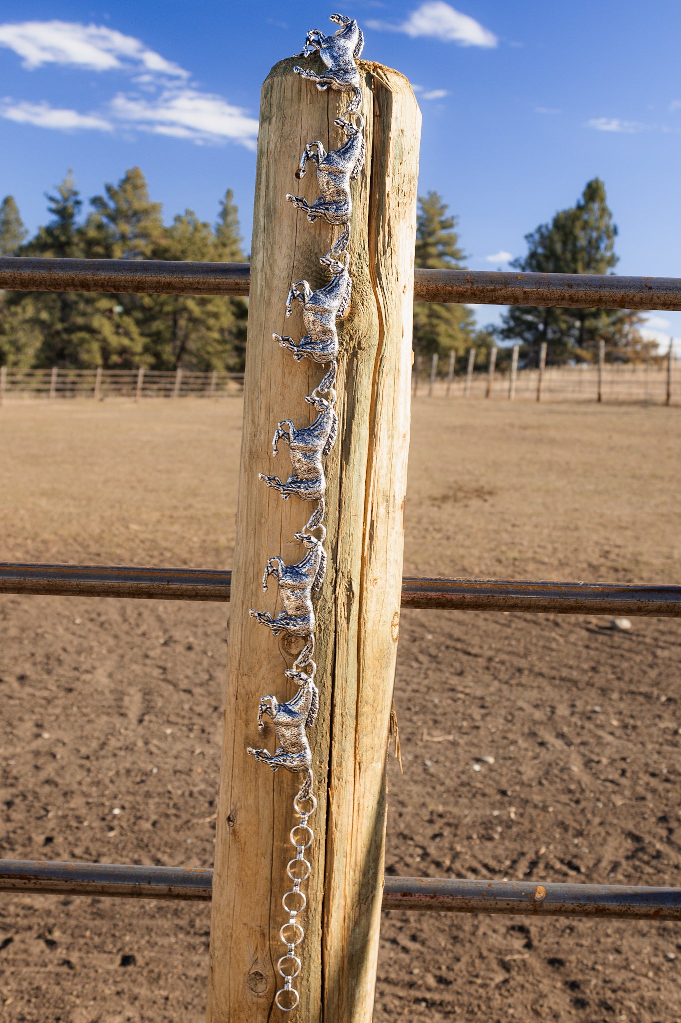 Silver Stampede Link Belt