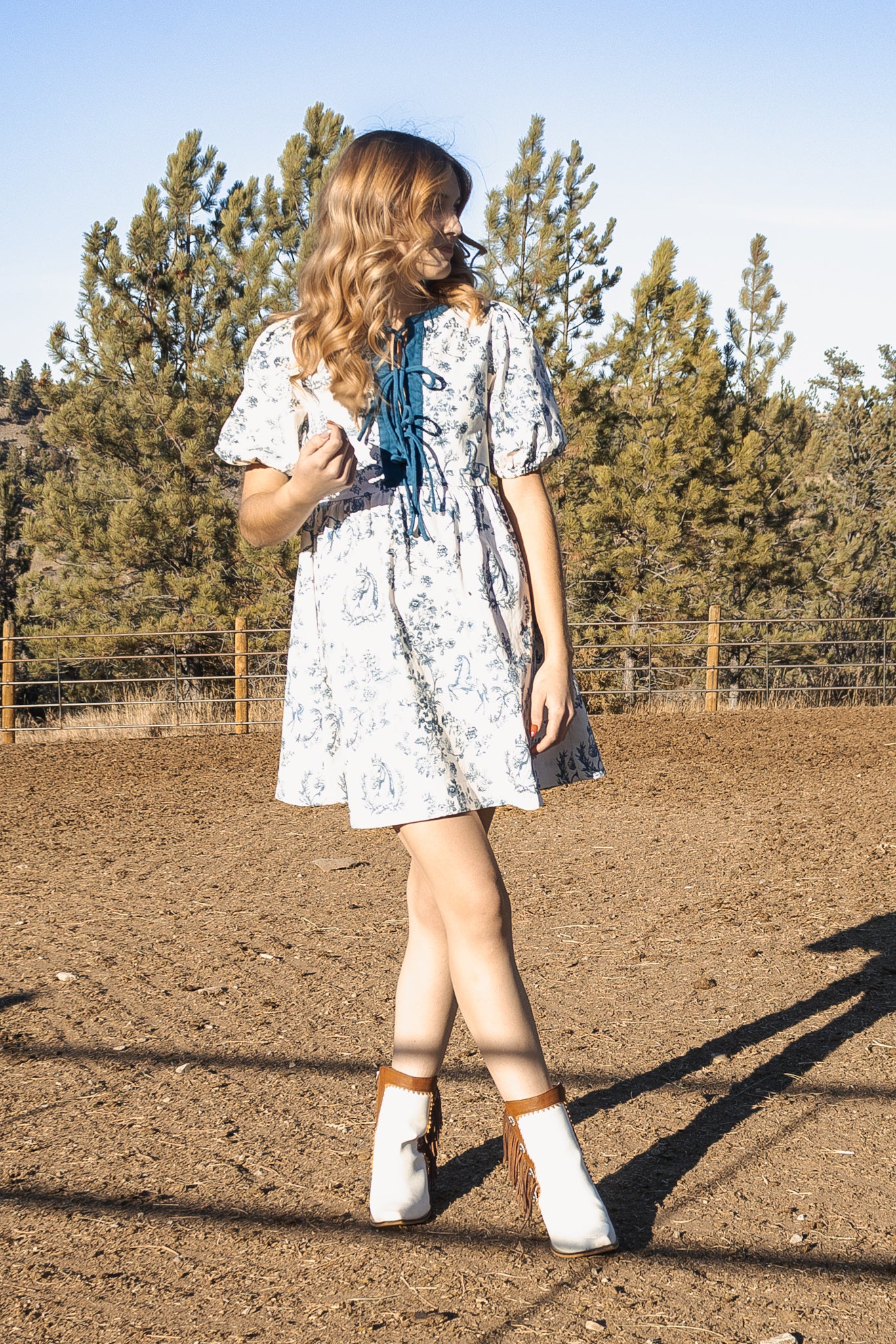 The Bluebell Toile Dress