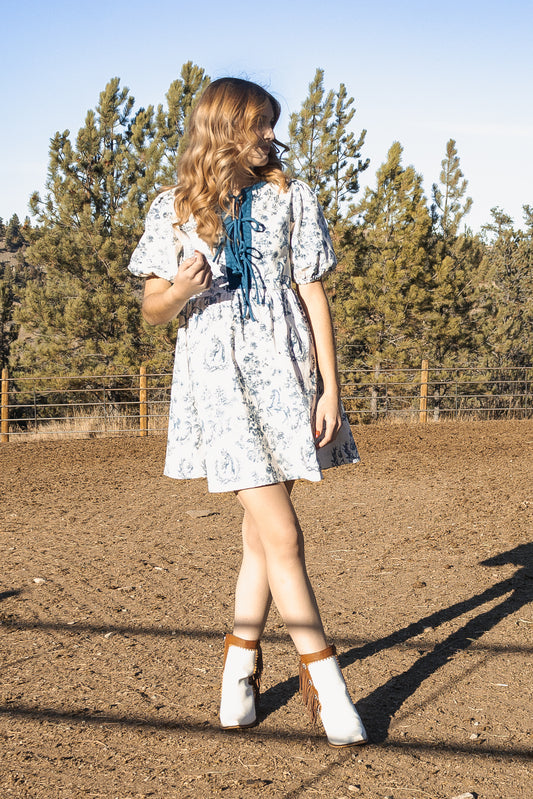 The Bluebell Toile Dress