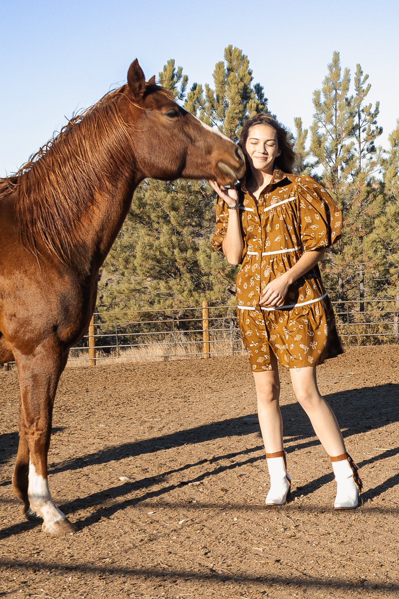 Dusty Trails Teired Dress