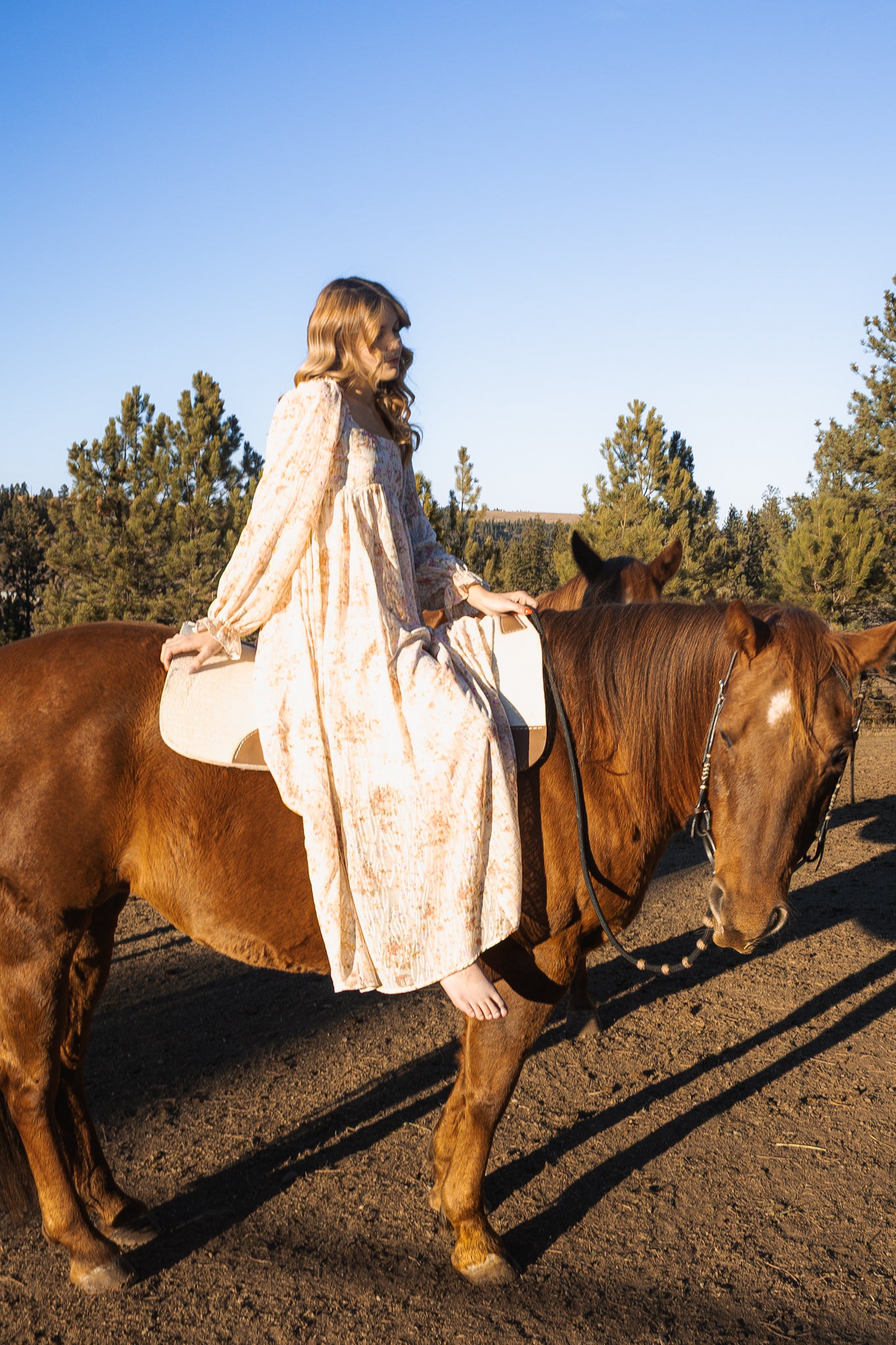 Western Meadow Maxi